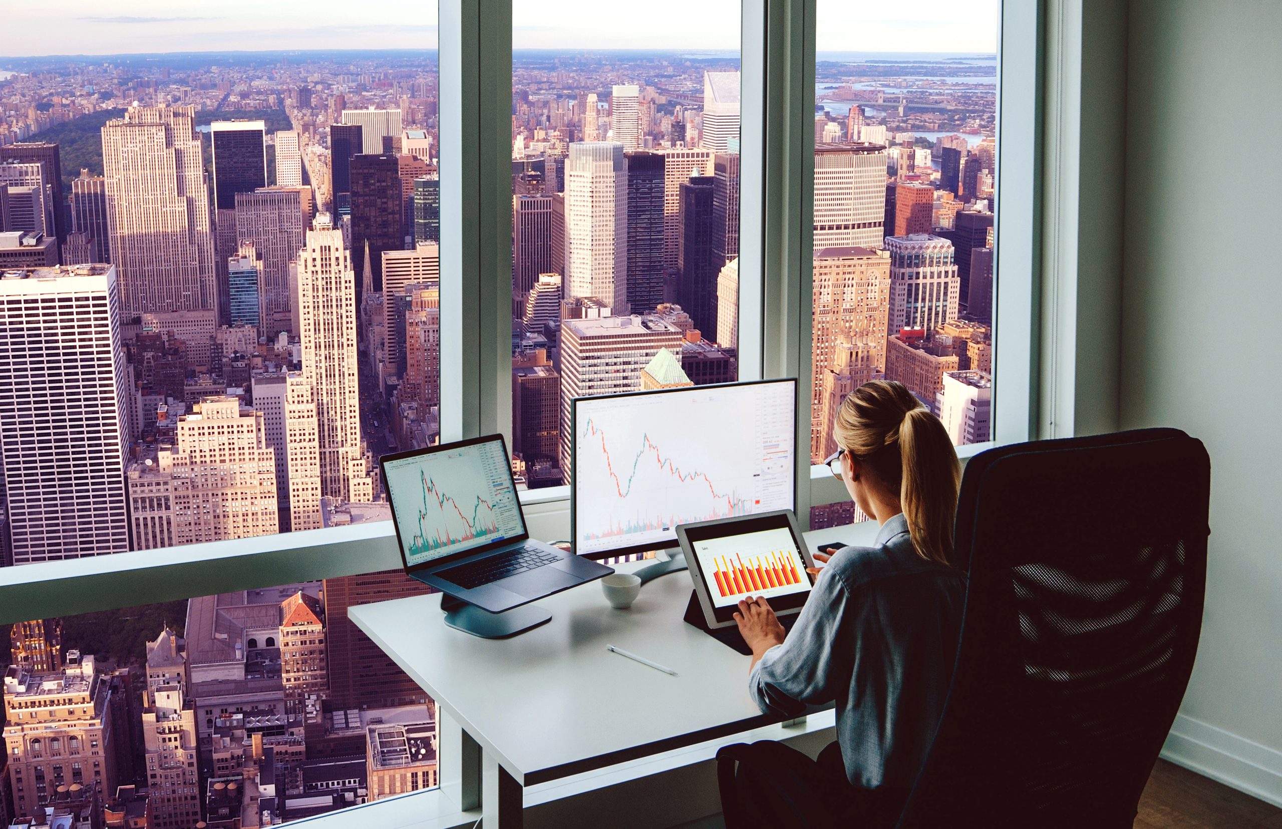 Rear view female employee working on PC computers with financial information on screen sitting at office table with downtown skyscrapers view behind window. Successful businesswoman at her workspace